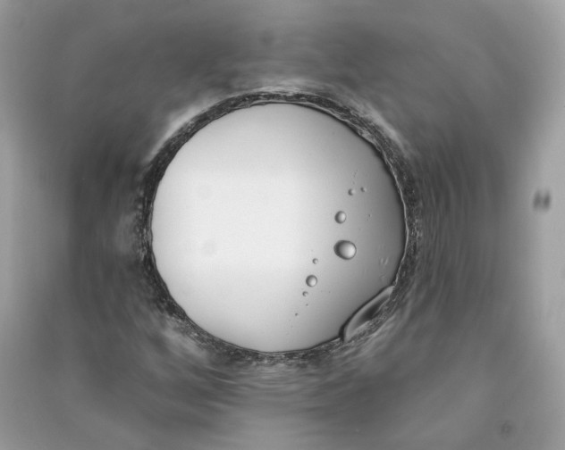 X0000090751256200708101717