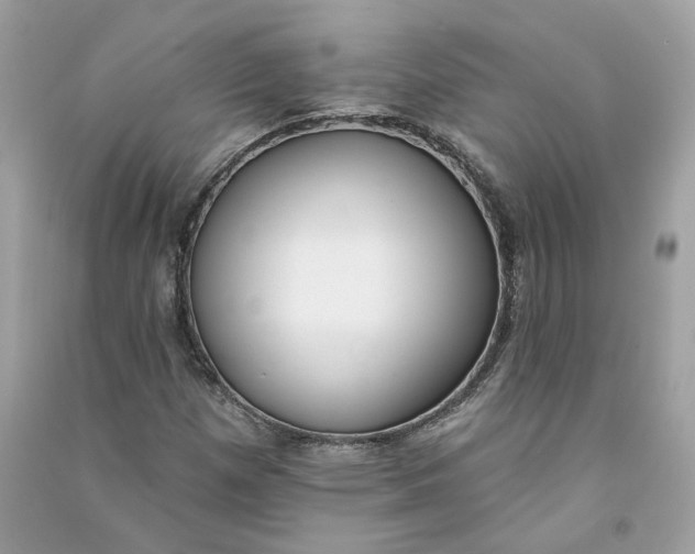 X0000090751257200708101717