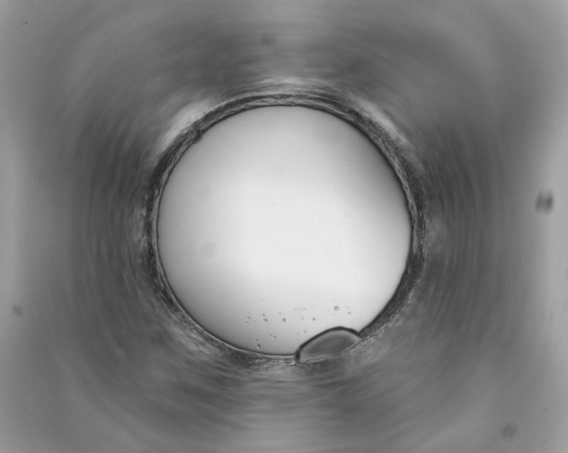 X0000090751259200708101717