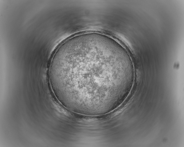 X0000090751260200708101717