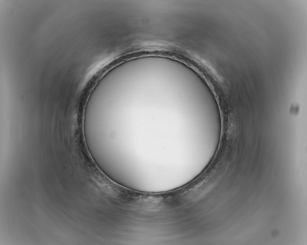 X0000090751261200708101717