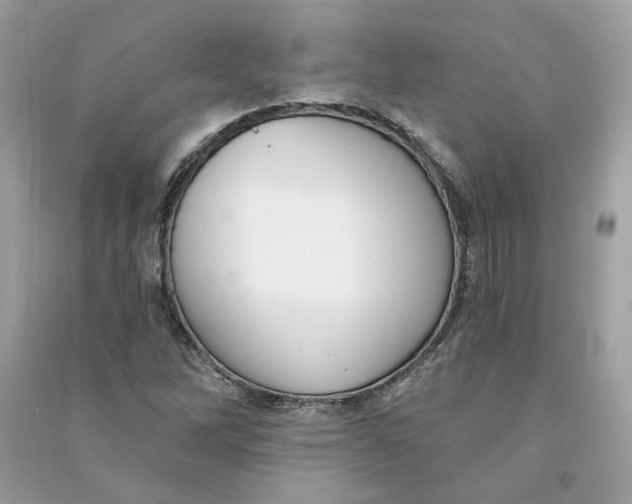 X0000090751262200708101717