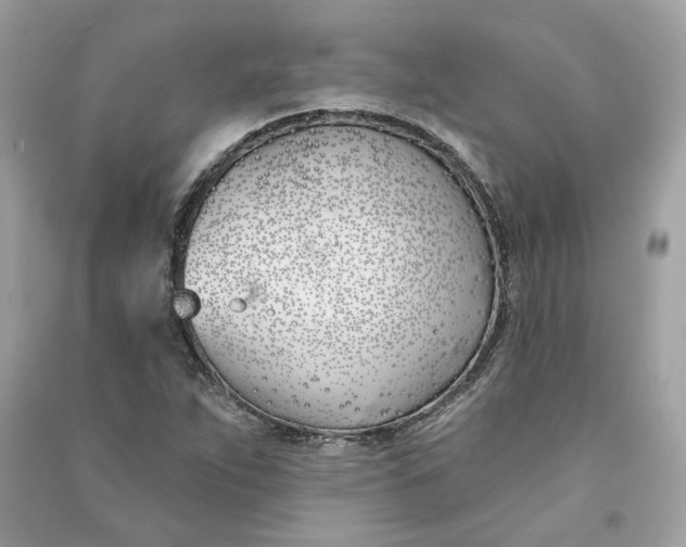 X0000090751263200708101717