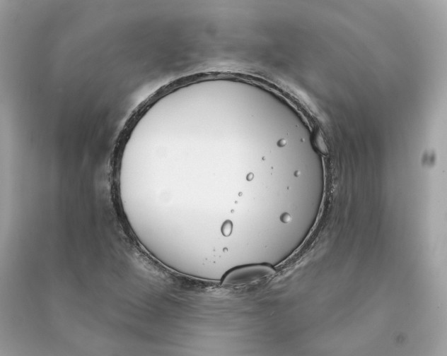 X0000090751264200708101717