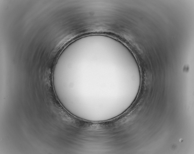 X0000090751265200708101717