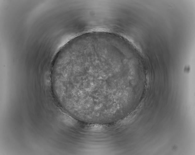 X0000090751266200708101717