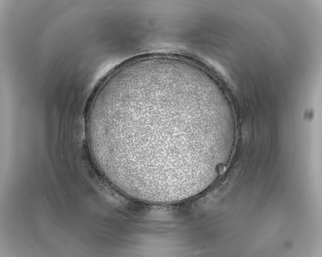 X0000090751267200708101717