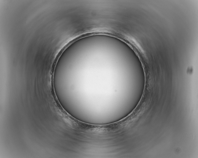 X0000090751268200708101717