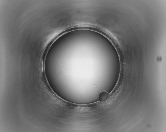 X0000090751269200708101717