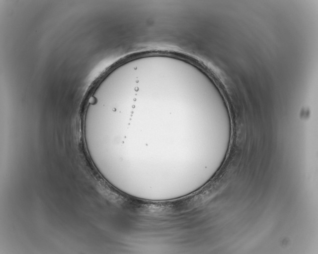 X0000090751271200708101717