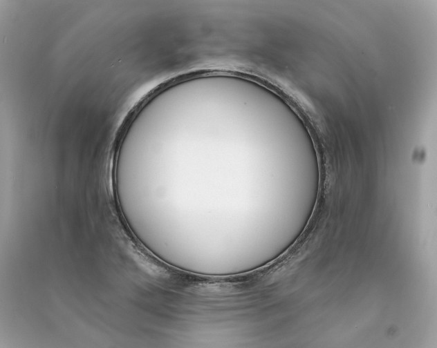 X0000090751272200708101717