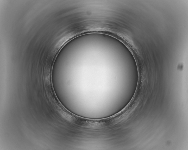 X0000090751273200708101717