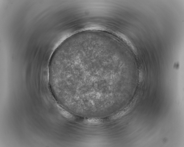 X0000090751274200708101717