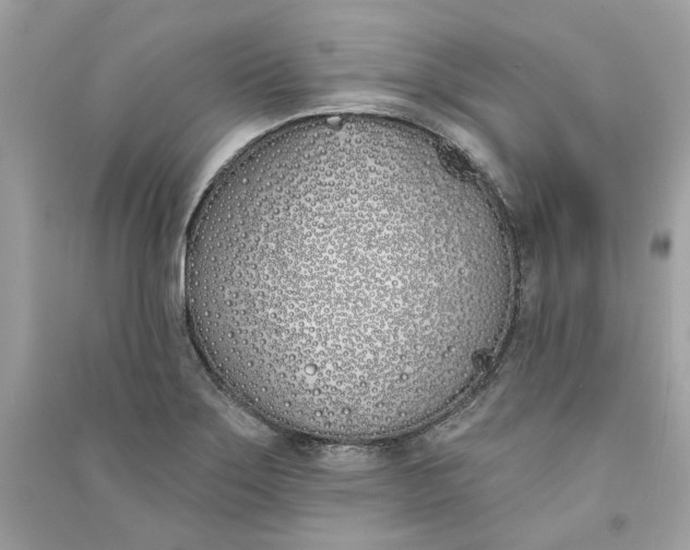 X0000090751275200708101717