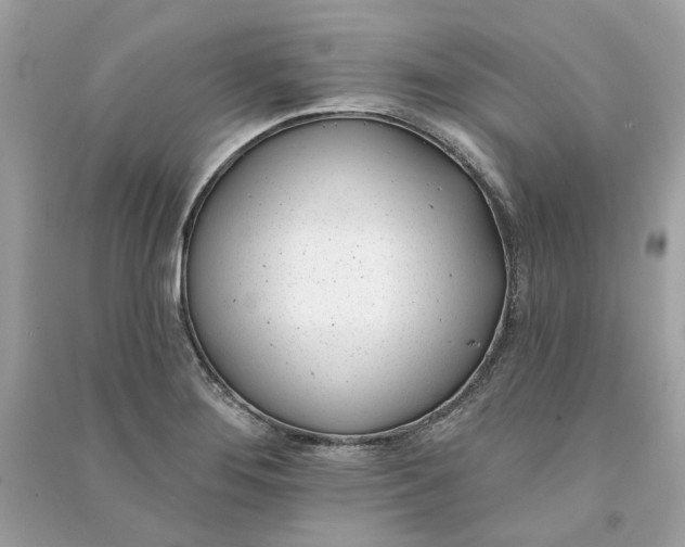 X0000090751276200708101717