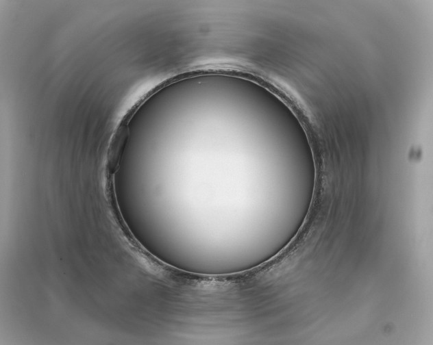 X0000090751277200708101717