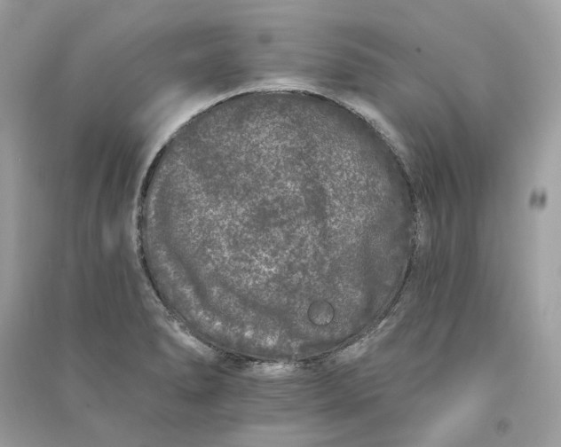 X0000090751278200708101717