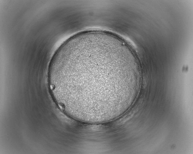 X0000090751279200708101717