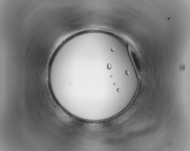 X0000090751280200708101717