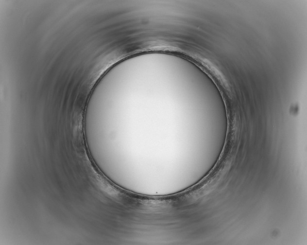 X0000090751281200708101717