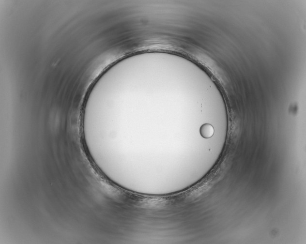 X0000090751282200708101717