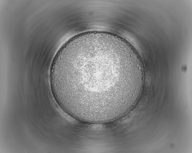 X0000090751283200708101717