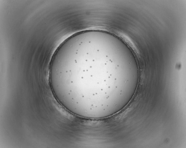 X0000090751284200708101717