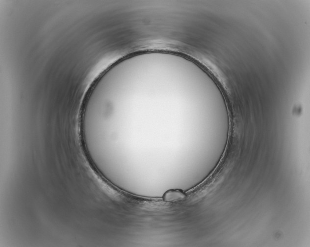 X0000090751285200708101717