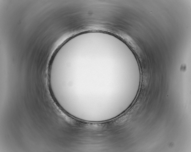 X0000090751286200708101717