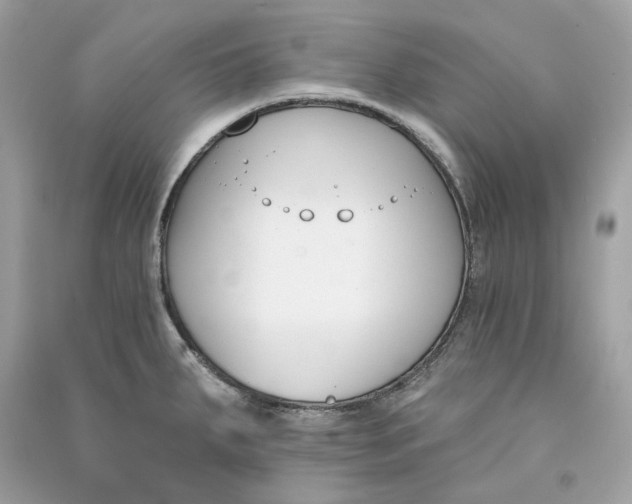 X0000090751287200708101717