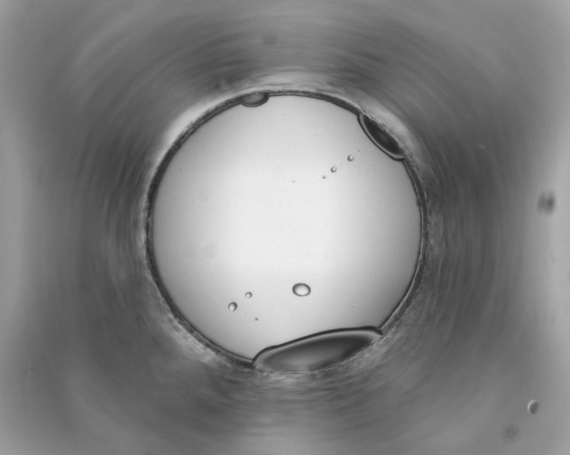 X0000090751288200708101717