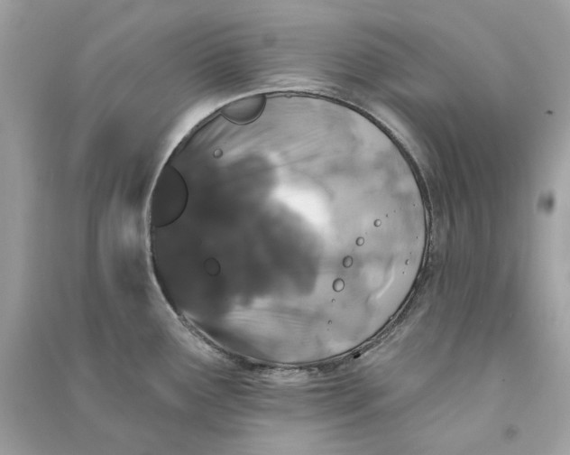 X0000090751291200708101716