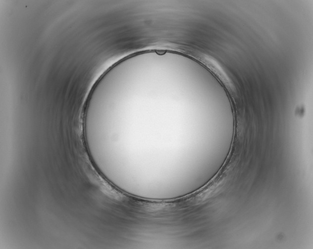 X0000090751292200708101716