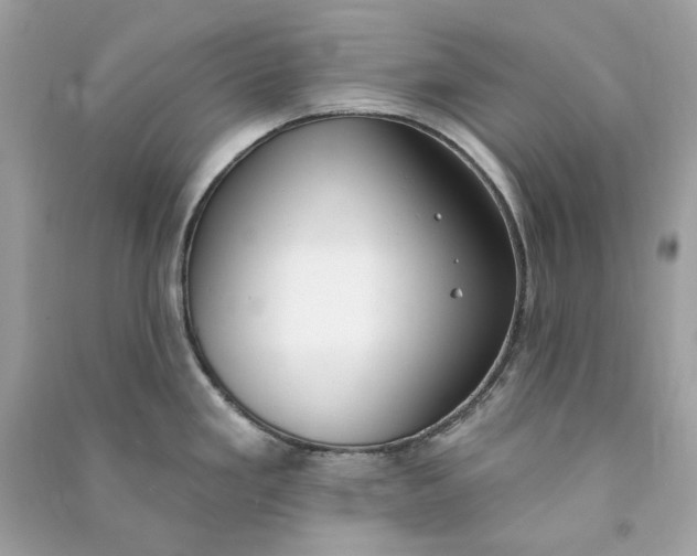 X0000090751293200708101716