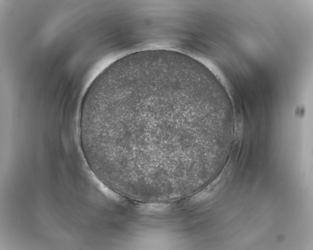 X0000090751294200708101716