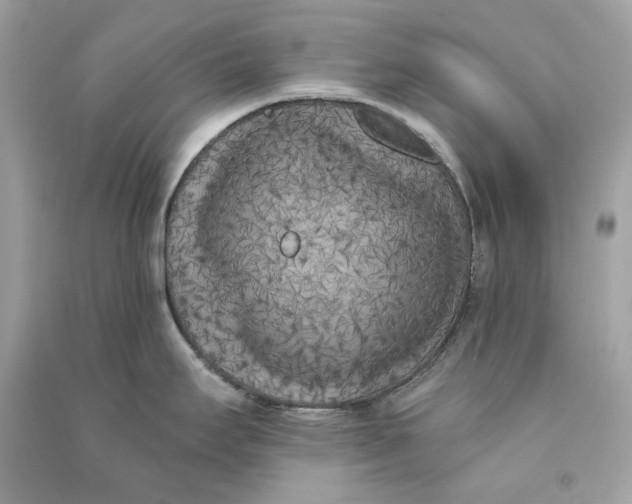 X0000090751295200708101716