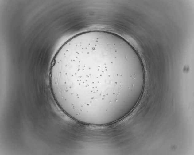 X0000090751296200708101716