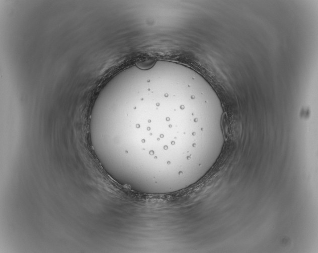 X0000090751297200708101716