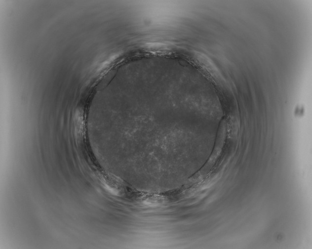 X0000090751298200708101716