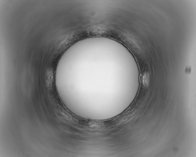 X0000090751299200708101716