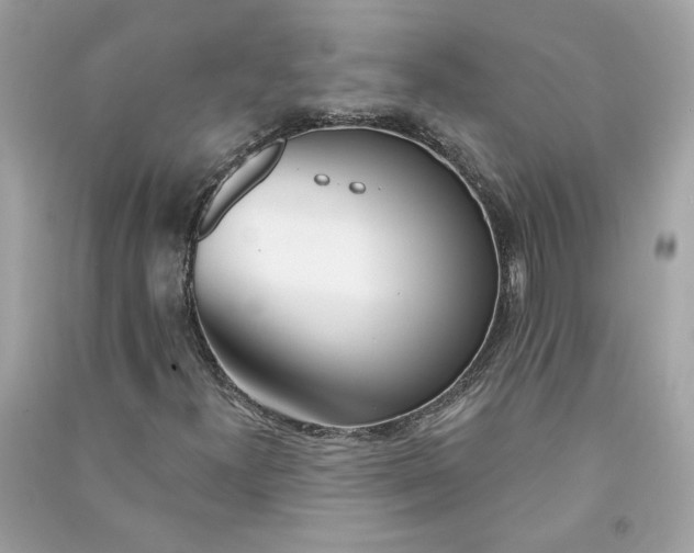 X0000090751300200708101716