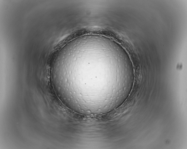 X0000090751301200708101716