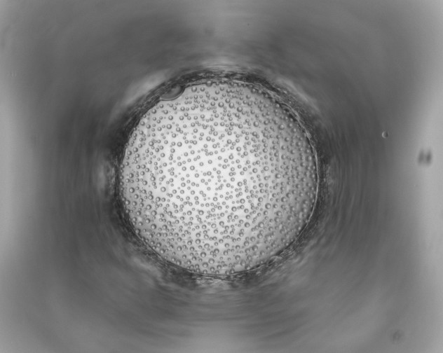 X0000090751302200708101716