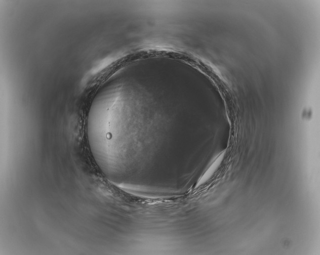 X0000090751303200708101716