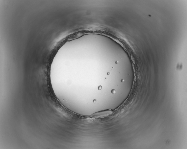 X0000090751304200708101716