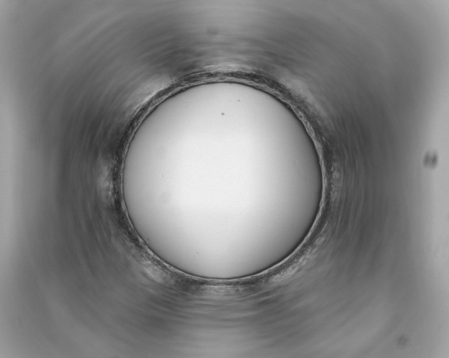 X0000090751305200708101716