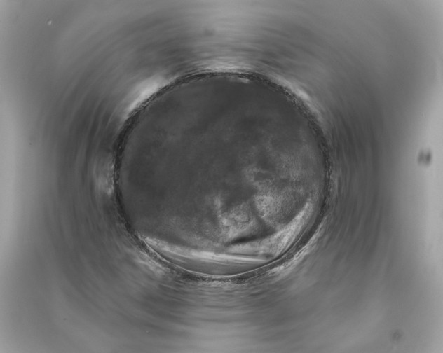 X0000090751306200708101716