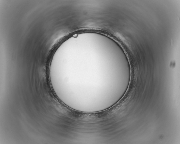 X0000090751307200708101716