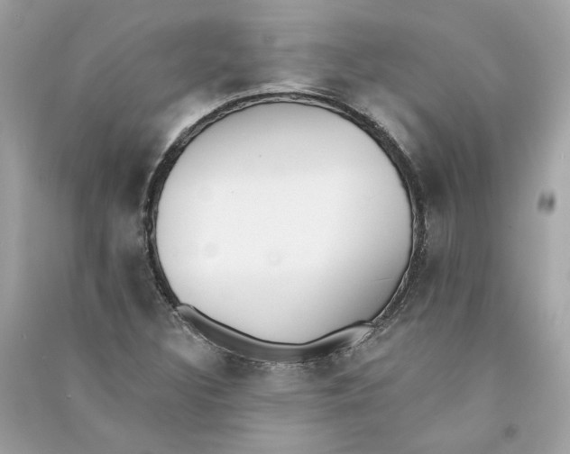 X0000090751308200708101716