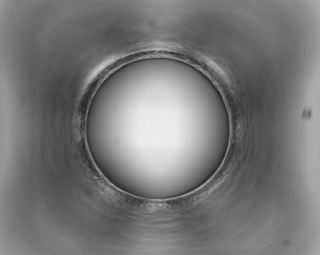 X0000090751310200708101716